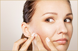 2Bバイオプランタ