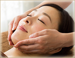 バイオセルショット65