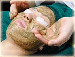 バイオプランタトリートメント